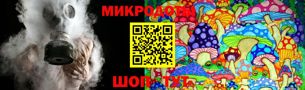 Галлюциногенные грибы Cubensis Горно-Алтайск